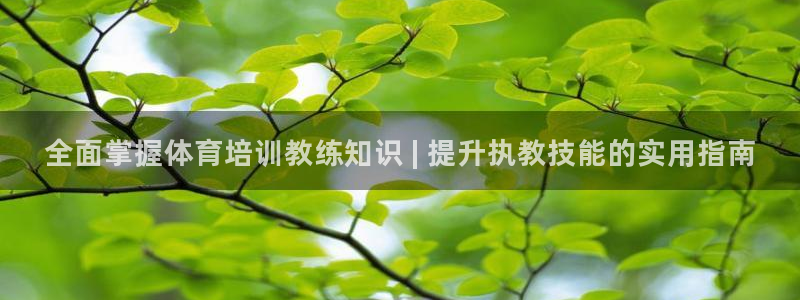 极悦平台官网登录不了怎么回事：全面掌握体育培训教练知