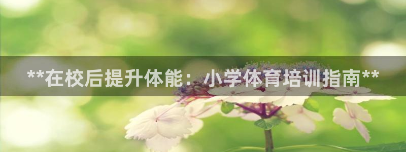 极悦娱乐官方网站下载：**在校后提升体能：小学体育培
