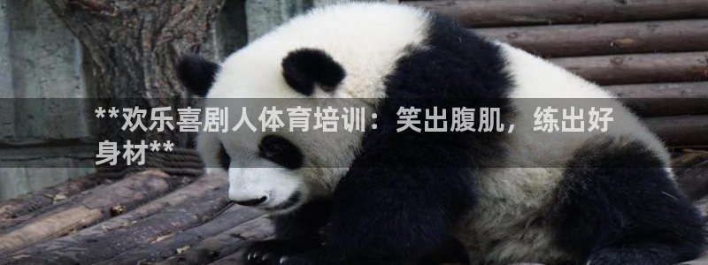 极悦平台代理：**欢乐喜剧人体育培训：笑出腹肌，练出