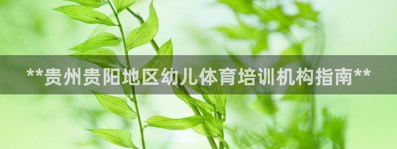 极悦平台用户反馈和反馈的区别：**贵州贵阳地区幼儿体