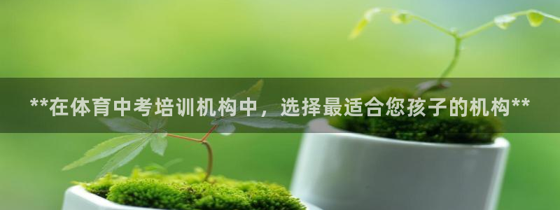 极悦平台官方网站首页：**在体育中考培训机构中，选择