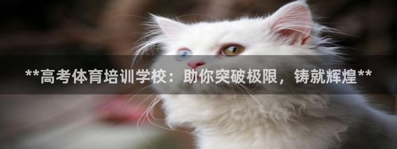 极悦娱乐贴吧百度：**高考体育培训学校：助你突破极限