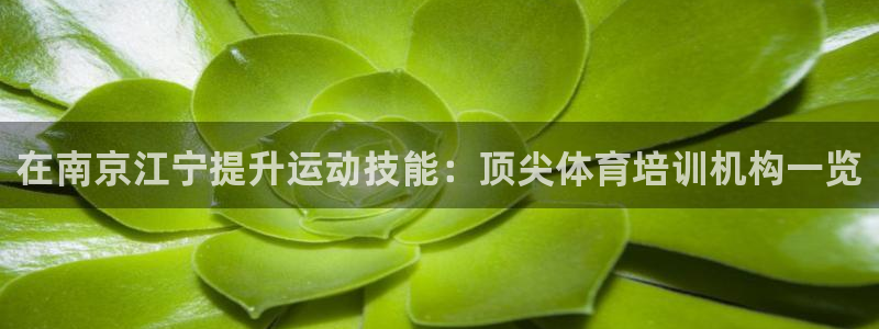 极悦平台官方网站入口下载：在南京江宁提升运动技能：顶