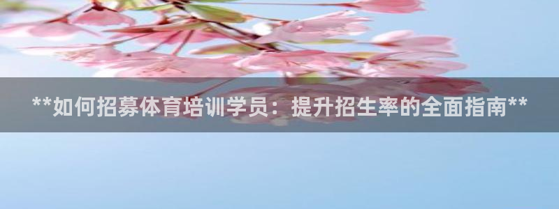 极悦平台官方网站：**如何招募体育培训学员：提升招生