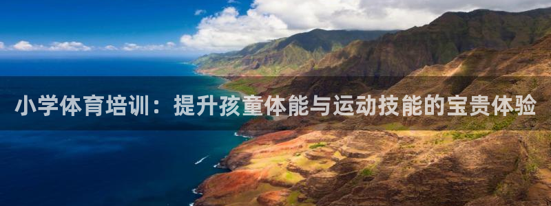 极悦平台股东名单：小学体育培训：提升孩童体能与运动技