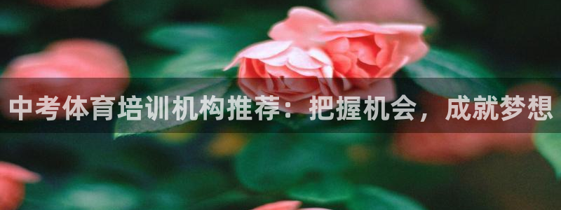 极悦平台的注册流程及注意事项有哪些：中考体育培训机构