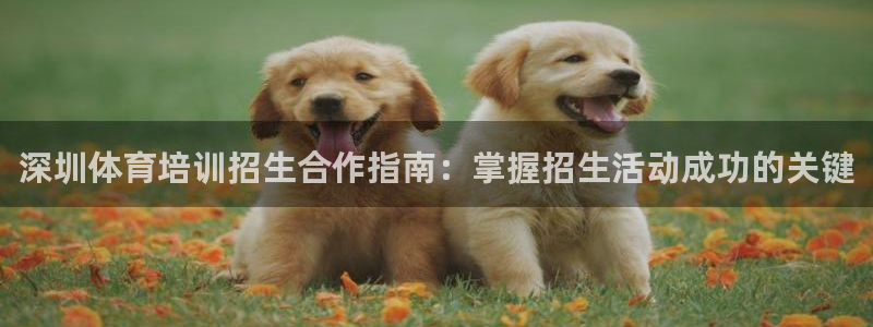 极悦官网的登录方法：深圳体育培训招生合作指南：掌握招