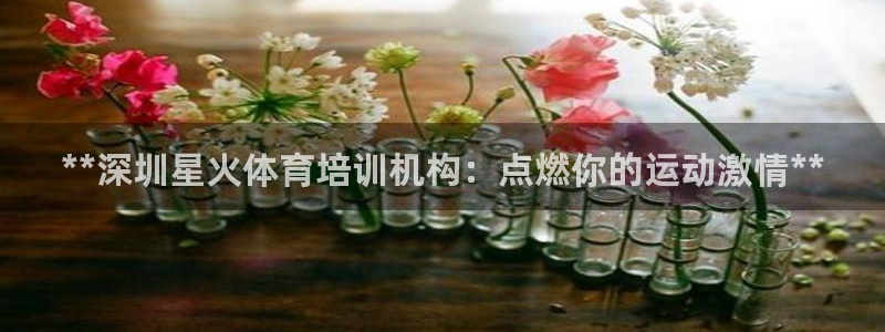 极悦娱乐公司最新招聘信息官网：**深圳星火体育培训机