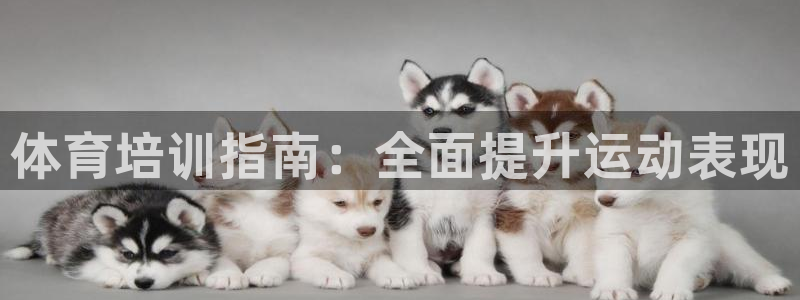 极悦平台官网登录不了：体育培训指南：全面提升运动表现