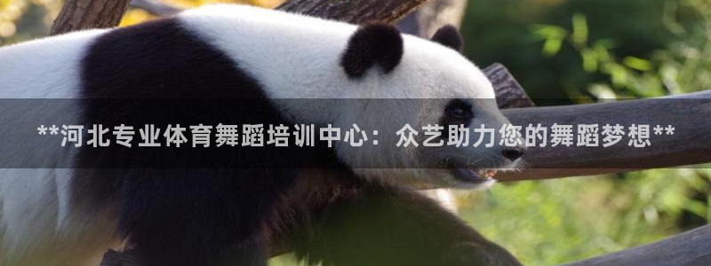 加盟极悦教育要多少钱：**河北专业体育舞蹈培训中心：