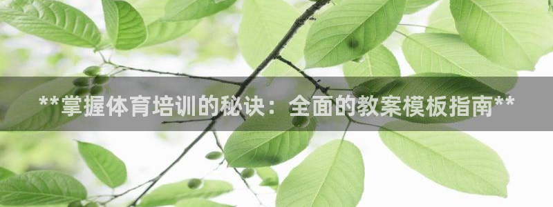 极悦平台使用教程：**掌握体育培训的秘诀：全面的教案