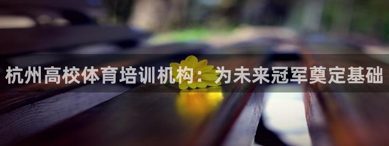 极悦平台股东有哪些：杭州高校体育培训机构：为未来冠军