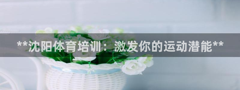 极悦娱乐代理多少钱一个：**沈阳体育培训：激发你的运动潜能*