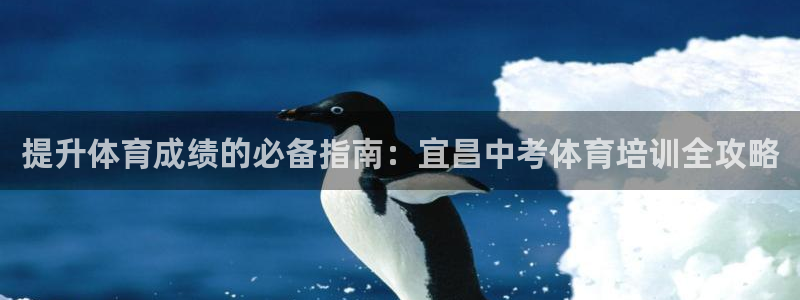 极悦平台网址AGHF8点C0M：提升体育成绩的必备指