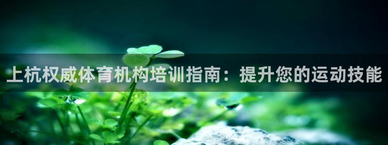极悦平台app安全吗：上杭权威体育机构培训指南：提升