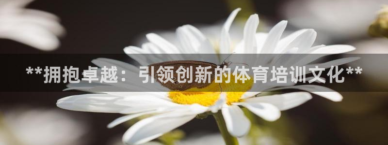 极悦是什么牌子空调的：**拥抱卓越：引领创新的体育培