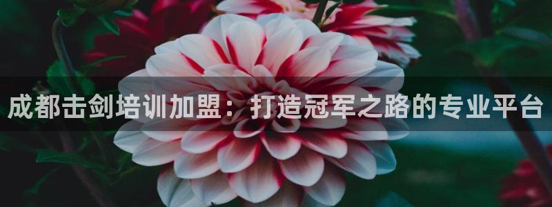 极悦牙膏怎么样好用吗：成都击剑培训加盟：打造冠军之路