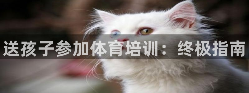 极悦平台登录不进去怎么回事儿：送孩子参加体育培训：终