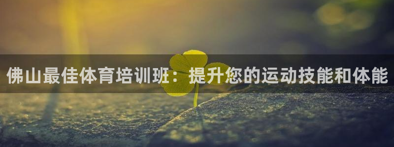 极悦官网登录：佛山最佳体育培训班：提升您的运动技能和体能