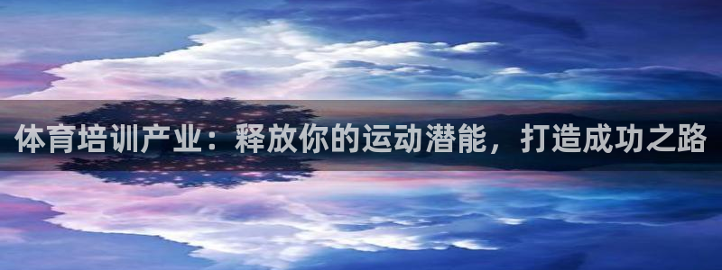 极悦平台注册失败如何解决方法：体育培训产业：释放你的