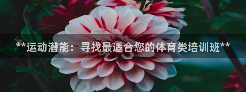 加盟极悦教育：**运动潜能：寻找最适合您的体育类培训