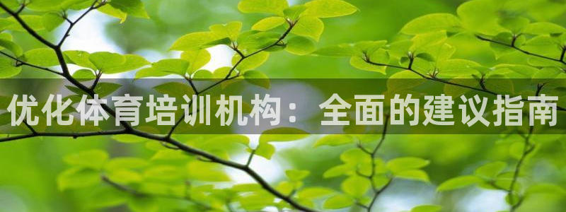 极悦娱乐股东：优化体育培训机构：全面的建议指南