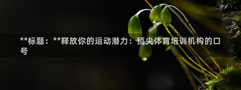 极悦平台登录入口注册账号：**标题：**释放你的运动潜力：顶