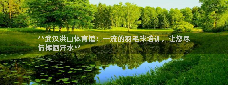 极悦平台官网登录网址：**武汉洪山体育馆：一流的羽毛球培训，