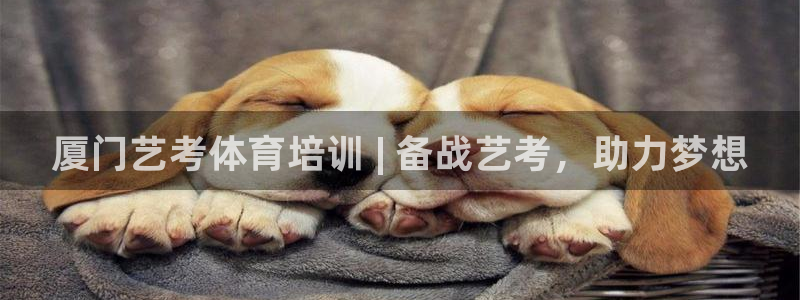 极悦平台是正规平台吗安全吗是真的吗：厦门艺考体育培训 | 备