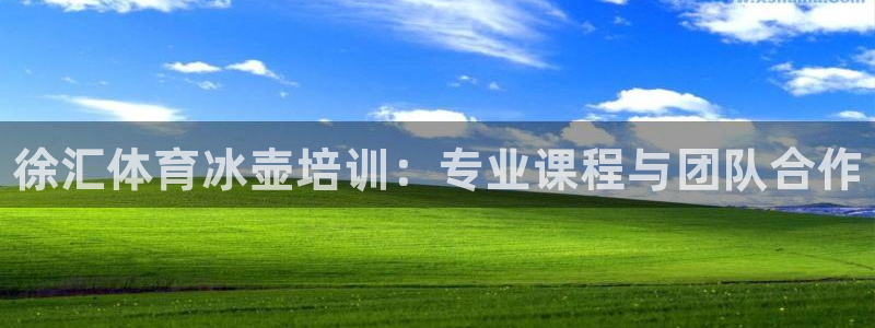 极悦平台登录最新版本更新内容：徐汇体育冰壶培训：专业