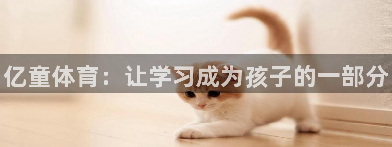 极悦官网旗舰店是正品吗：亿童体育：让学习成为孩子的一部分