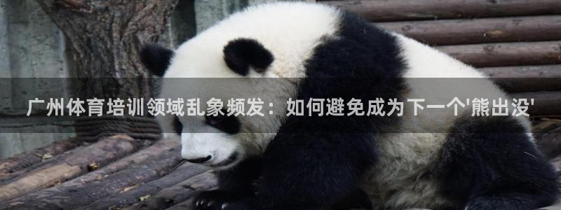 极悦平台网址皮皮虾下载：广州体育培训领域乱象频发：如何避免成