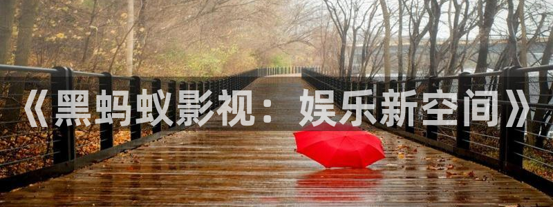 战地影视网