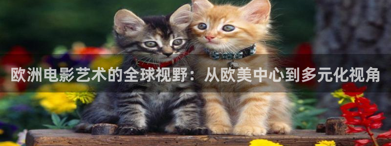 战地电影