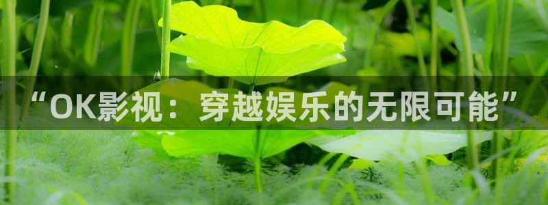战地影视在线观看