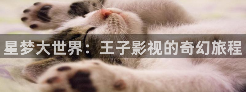 战地影视