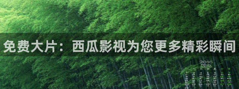 战地影视在线观看