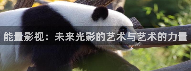 战地影院 720p 下载