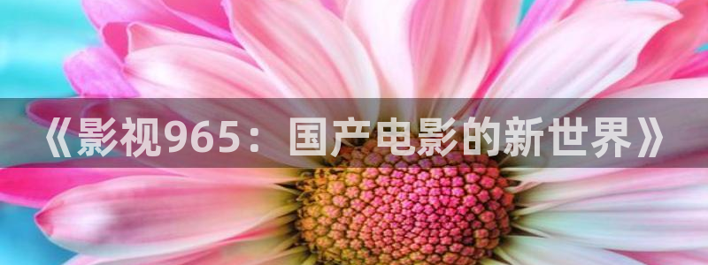 战地影院电影免费高清在线观看