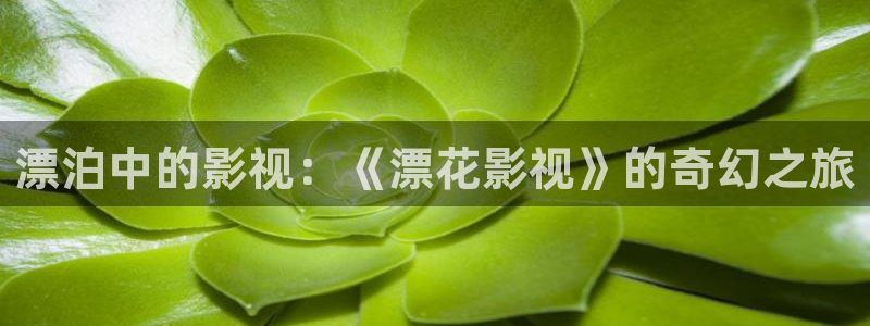 战地电影在线观看
