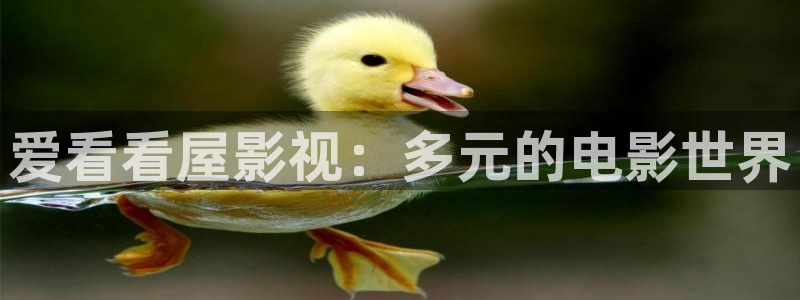 女机长起飞免费观看完整版高清战地影院