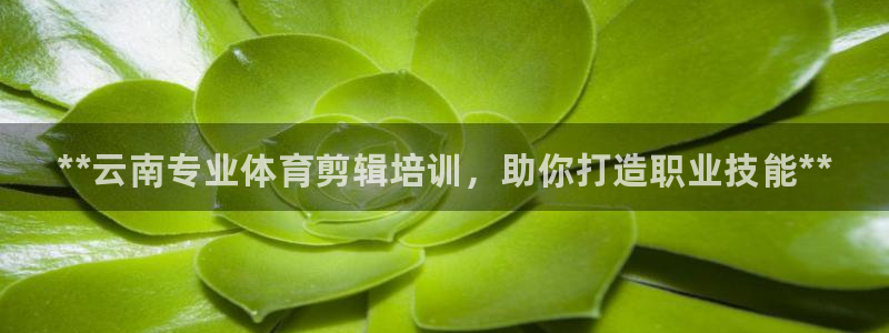 极悦平台有风险吗现在：**云南专业体育剪辑培训，助你