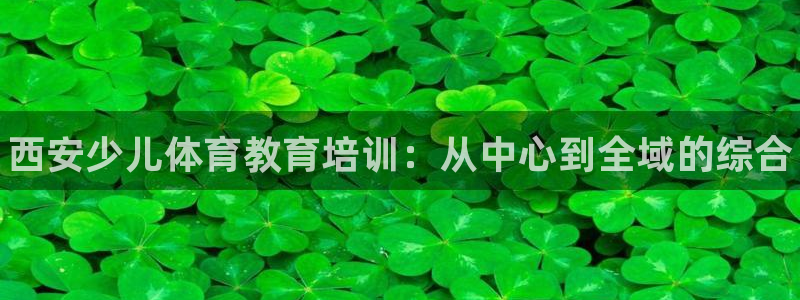 极悦平台反7O777：西安少儿体育教育培训：从中心到全域的综